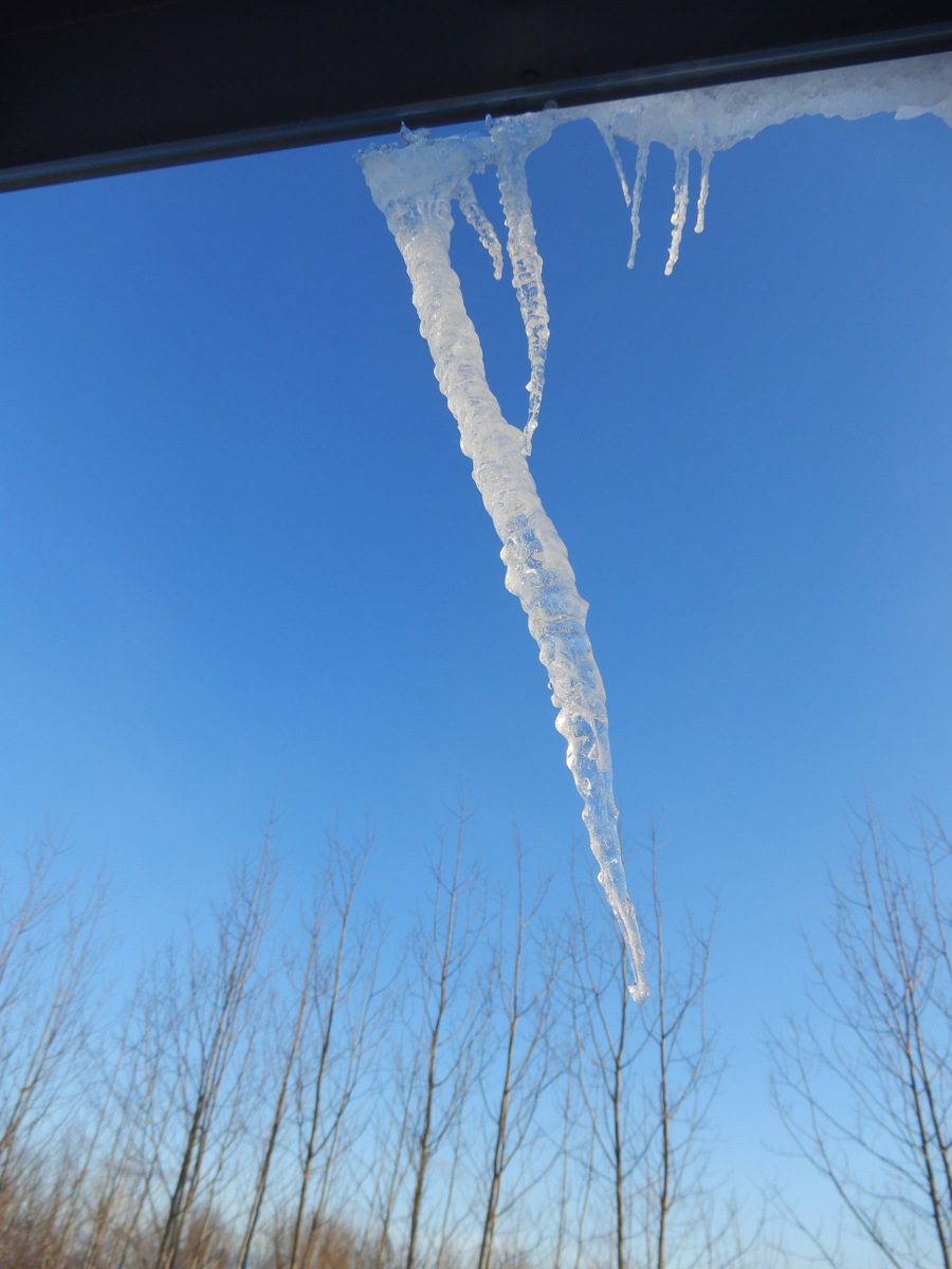 I adore the forming icicles from the mid-winter sunny days coming off the steel roof.