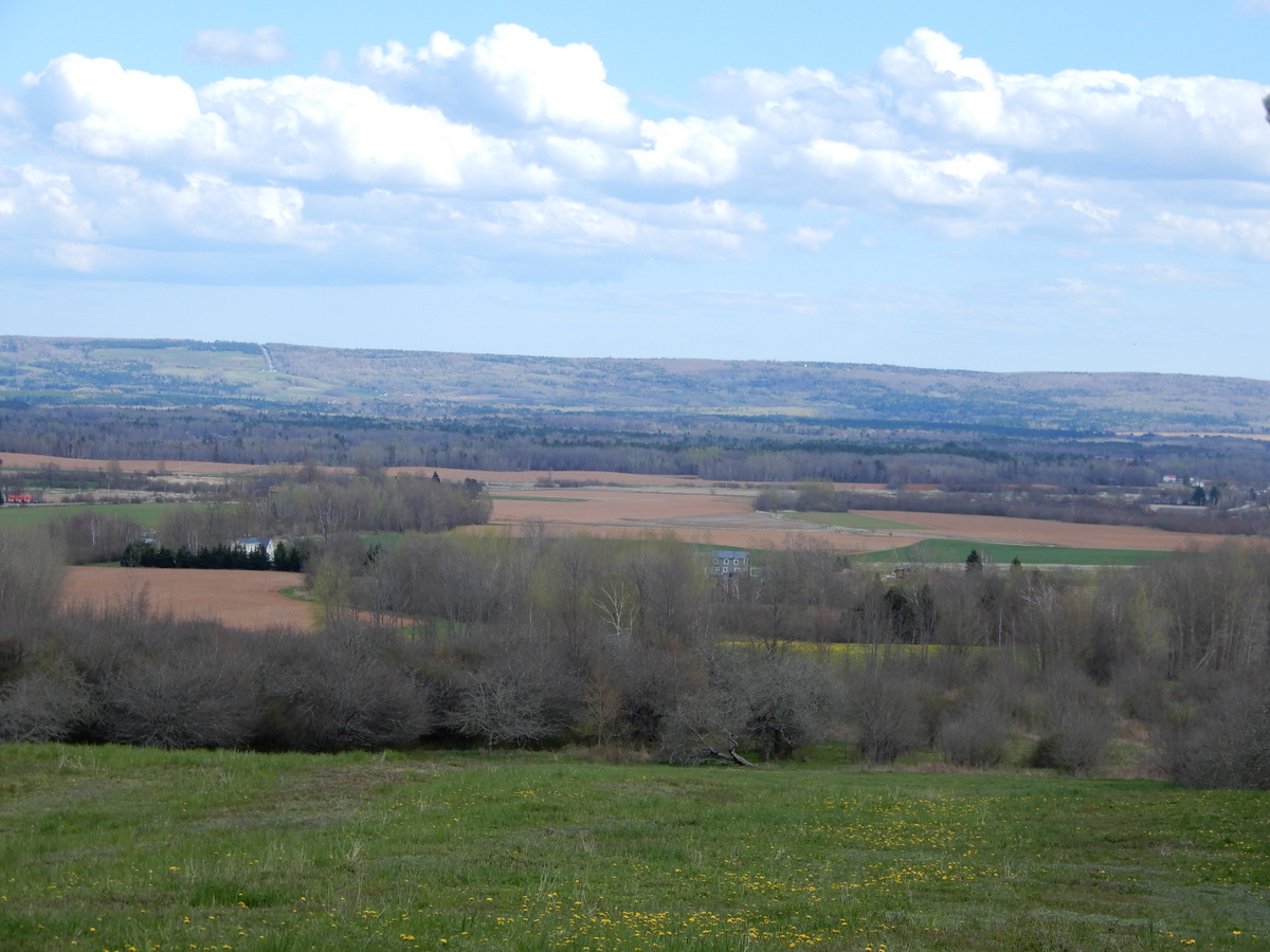 The Annapolis valley of NS from the Burgess Mtn Rd, on the North Mtn, looking due south, where I live. 4/2020